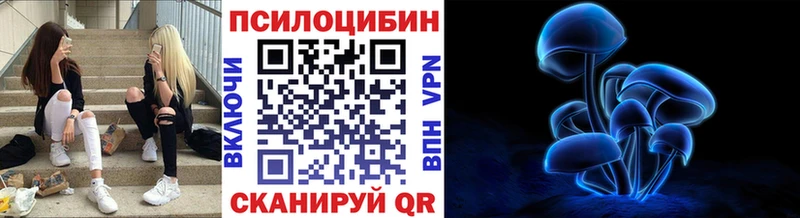 Псилоцибиновые грибы мицелий  закладка  Приморско-Ахтарск 
